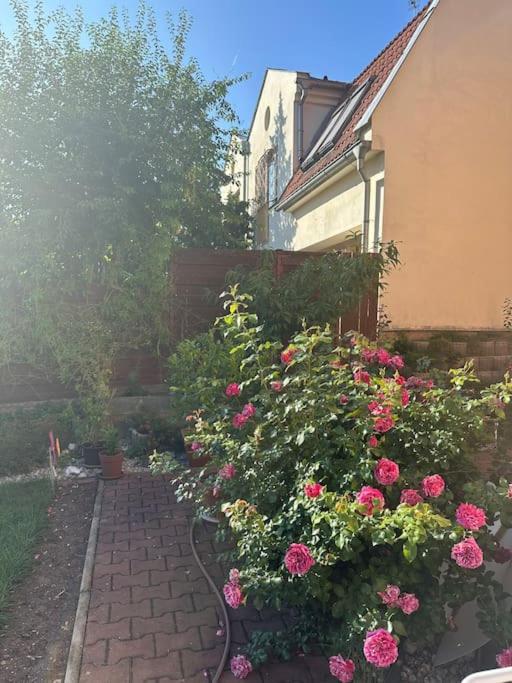 Family-Friendly Prague 5 Stay المظهر الخارجي الصورة